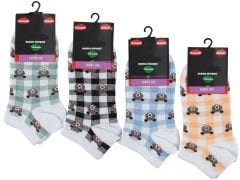 Kadın Penye Dikişsiz Bayan Patik 12'li Paket