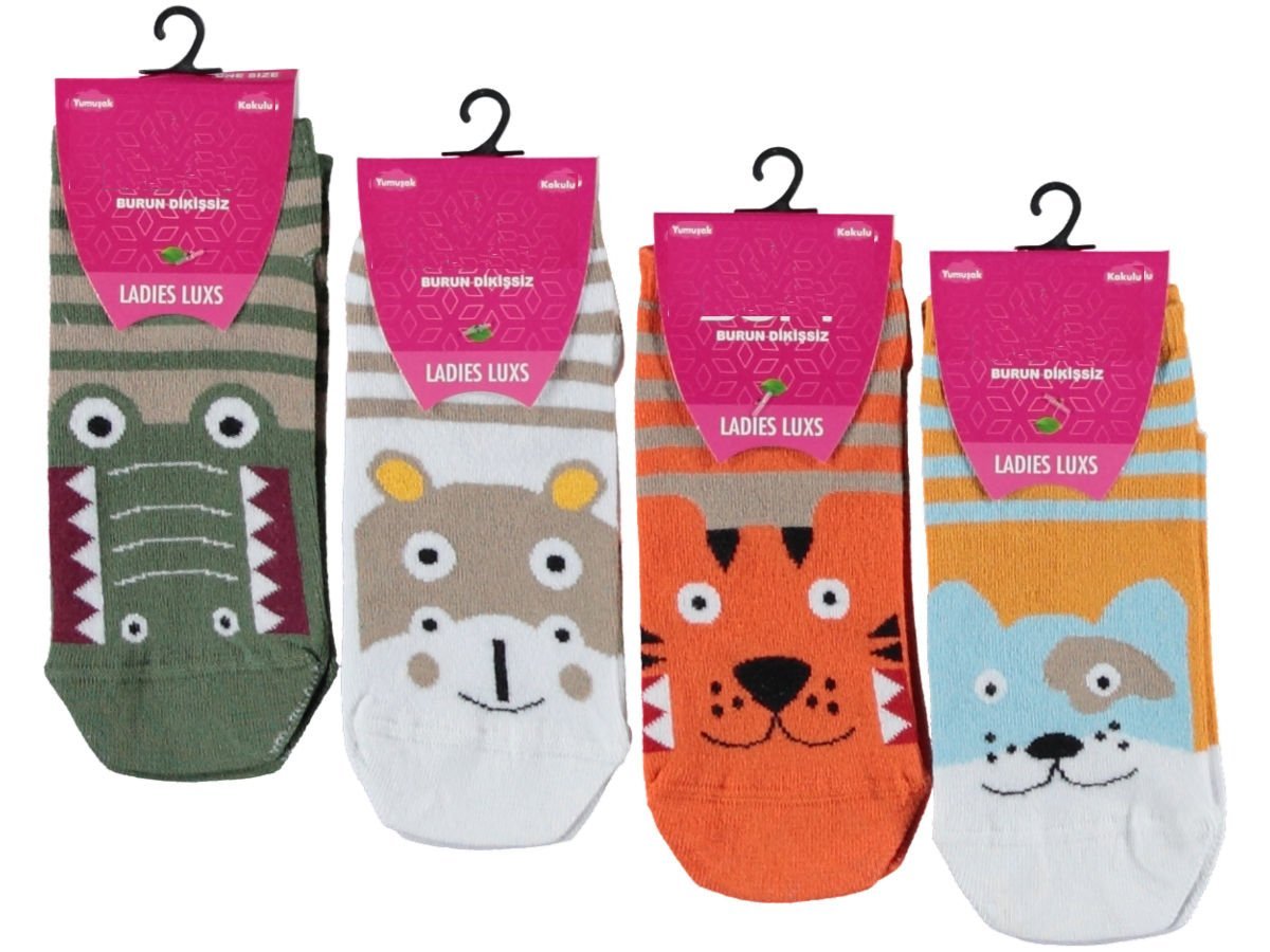 Kadın Penye Dikişsiz Bayan Patik 12'li Paket