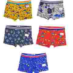 Tutku Elestan Empirme Erkek Çocuk Boxer 12'li