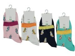 Kadın Penye Kısa Konç Çorap 12'li Paket